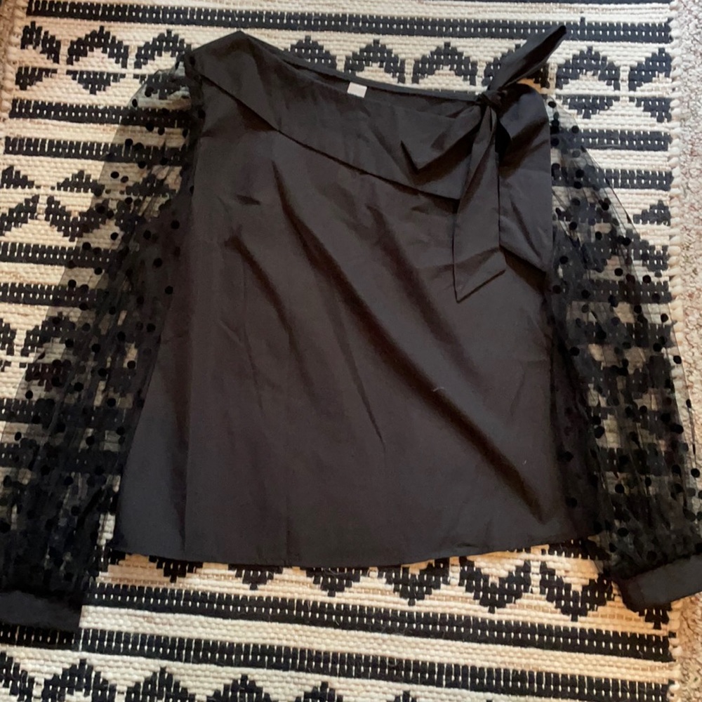 Sheer Black Polka Dot Puff Sleeve Top - SheIn